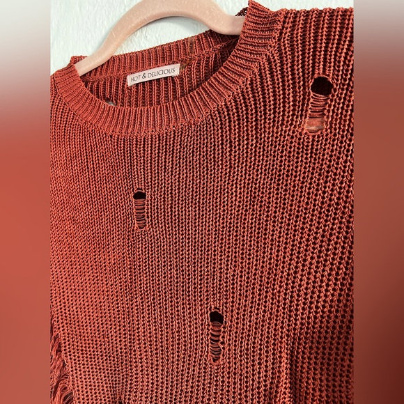 Hot & Delicious Distressed Crop Sweater - Rust - Picture 2 of 2